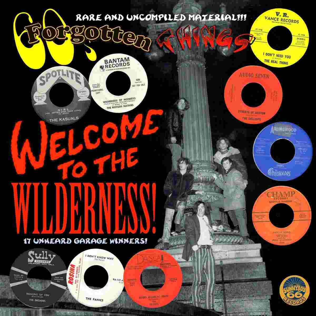 60's Forgotten Things - Welcome To The Wilderness!